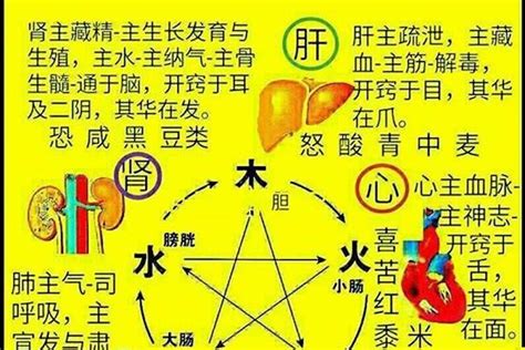 真 五行|真字的五行是什么,真的五行属性及吉利寓意